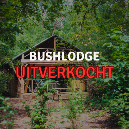 Bushlodge met veranda (2 personen)